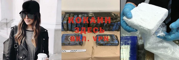 сатива Богданович