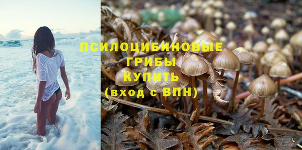 дмт Богородицк