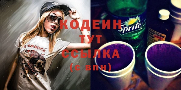 дмт Богородицк