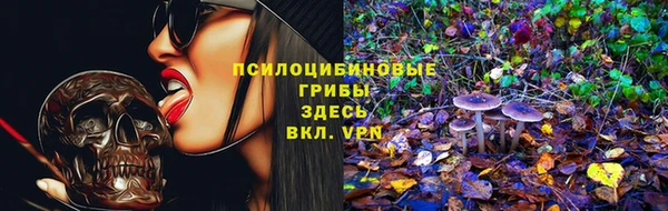 сатива Богданович