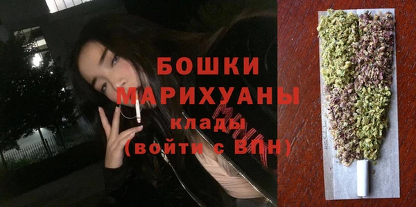 сатива Богданович