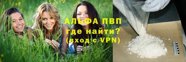 сатива Богданович