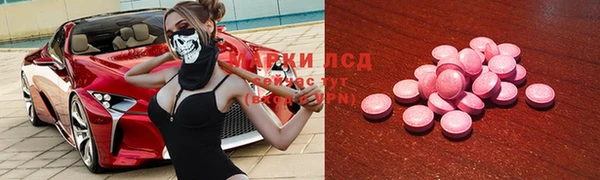 сатива Богданович