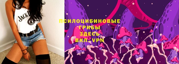 сатива Богданович