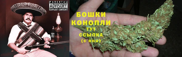 сатива Богданович