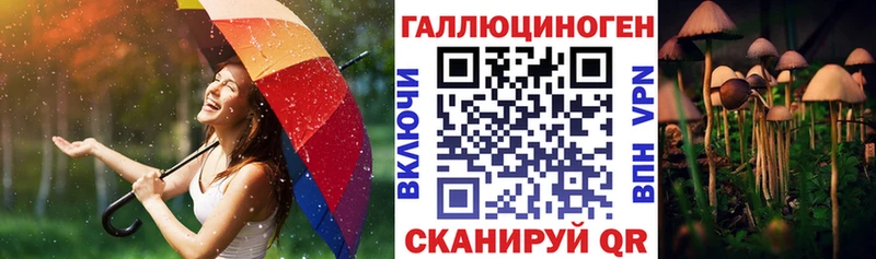 Купить закладки  Усолье-Сибирское  Галлюциногенные грибы мицелий 