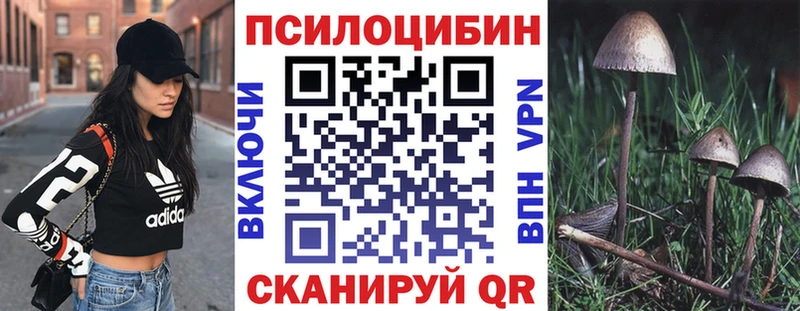 Галлюциногенные грибы мицелий Усолье-Сибирское